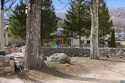 2229 Tanners Ridge Condos, Wintergreen Resort, VA 22967 - Photo 31