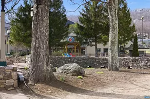 2229 Tanners Ridge Condos, Wintergreen Resort, VA 22967 - Photo 31