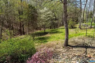 3255 Avebury Ln, Keswick, VA 22947 - Photo 71