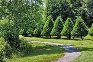 1883 Steeplechase Run, Charlottesville, VA 22911 - Photo 51