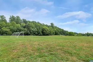 1113 River Oaks Ln, Charlottesville, VA 22901 - Photo 45