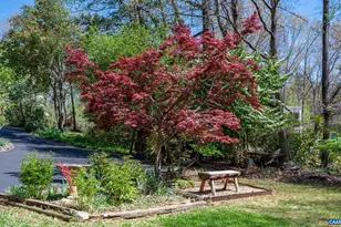 103 Powhatan Cir, Charlottesville, VA 22901 - Photo 67