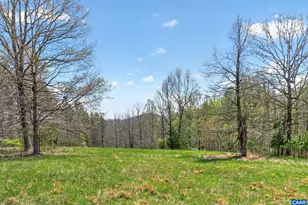 7087 Dick Woods Rd, Afton, VA 22920 - Photo 61
