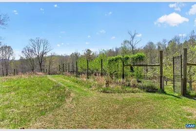 7087 Dick Woods Rd, Afton, VA 22920 - Photo 59