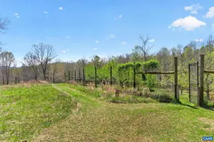 7087 Dick Woods Rd, Afton, VA 22920 - Photo 59