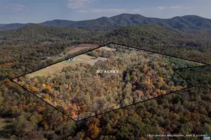 2236 Craigs Store Rd, Afton, VA 22920 - Photo 59