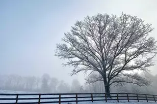 2236 Craigs Store Rd, Afton, VA 22920 - Photo 71