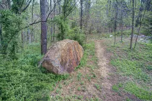 1877 Bargamin Loop, Crozet, VA 22932 - Photo 43