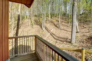 620 Hightop Dr, North Garden, VA 22959 - Photo 49