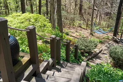 213 Fox Horn Ln, Charlottesville, VA 22902 - Photo 53