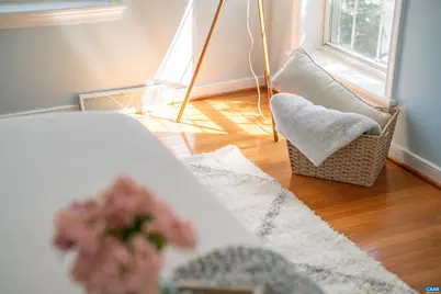 213 Fox Horn Ln, Charlottesville, VA 22902 - Photo 33