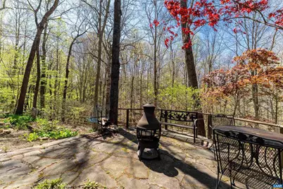 213 Fox Horn Ln, Charlottesville, VA 22902 - Photo 51