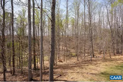 1788 Flora Ln, Charlottesville, VA 22911 - Photo 29