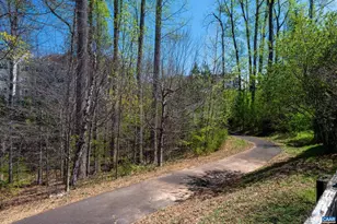 1238 Penfield Ln, Charlottesville, VA 22901 - Photo 45