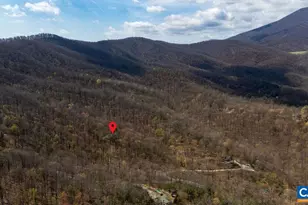 472 Horseshoe Mountain Rd, Roseland, VA 22967 - Photo 71