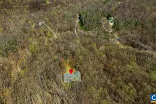 472 Horseshoe Mountain Rd, Roseland, VA 22967 - Photo 73