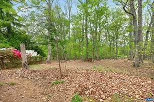 1670 Milton Rd, Charlottesville, VA 22902 - Photo 37
