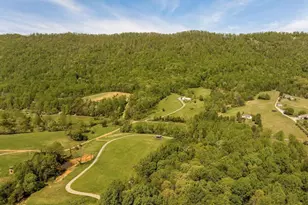 1671 Dudley Mountain Rd, Charlottesville, VA 22903 - Photo 41