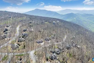 115 Hemlock Dr, Wintergreen Resort, VA 22967 - Photo 65