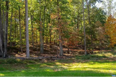 7337-A Dick Woods Rd, Afton, VA 22920 - Photo 19