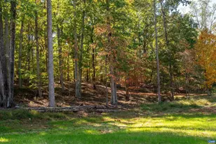 7337-A Dick Woods Rd, Afton, VA 22920 - Photo 19