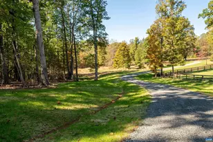 7337-B Dick Woods Rd, Afton, VA 22920 - Photo 9