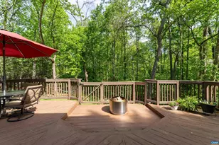220 Homestead Ln, Charlottesville, VA 22902 - Photo 41