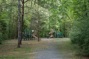 220 Homestead Ln, Charlottesville, VA 22902 - Photo 51