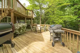 102 Westminster Rd, Charlottesville, VA 22901 - Photo 53