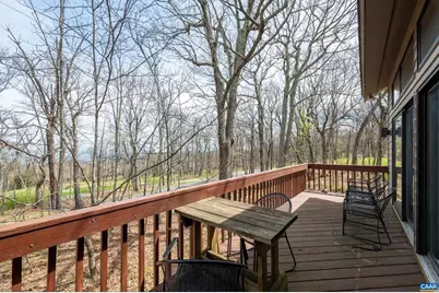 44 East Catoctin Dr, Wintergreen Resort, VA 22967 - Photo 41