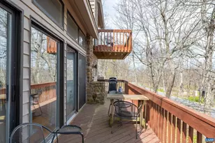 44 E Catoctin Dr, Wintergreen Resort, VA 22967 - Photo 39
