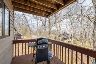 44 E Catoctin Dr, Wintergreen Resort, VA 22967 - Photo 37