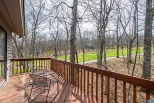 44 E Catoctin Dr, Wintergreen Resort, VA 22967 - Photo 17