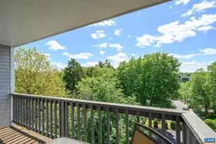 1243 Cedars Ct, Charlottesville, VA 22903 - Photo 17