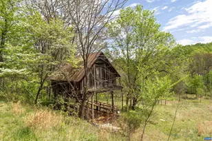 3898 Vineyard Rd, Barboursville, VA 22923 - Photo 43