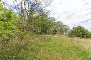 3898 Vineyard Rd, Barboursville, VA 22923 - Photo 41