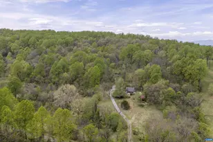 3898 Vineyard Rd, Barboursville, VA 22923 - Photo 45