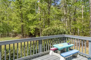 3330 Buck Island Rd, Charlottesville, VA 22902 - Photo 33