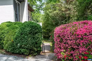 900 Rugby Rd, Charlottesville, VA 22903 - Photo 27