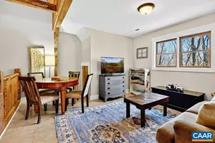 952 Blue Ridge Dr, Wintergreen Resort, VA 22967 - Photo 29