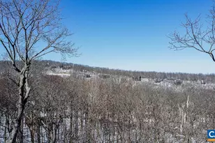 42 Peavy Point, Wintergreen, VA 22967 - Photo 61