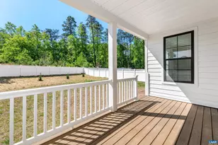 3448 Thicket Run Pl, Charlottesville, VA 22911 - Photo 53