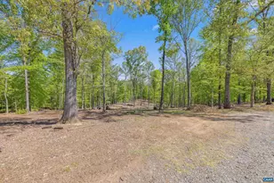 2947 Merrie Meadows Ln, Keswick, VA 22947 - Photo 15