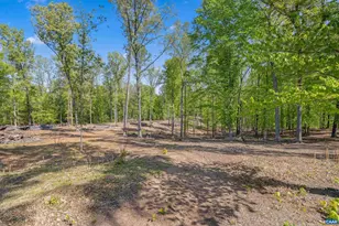 2947 Merrie Meadows Ln, Keswick, VA 22947 - Photo 19