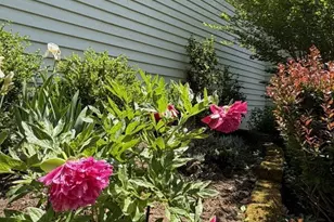 446 Peacock Dr, Charlottesville, VA 22903 - Photo 5