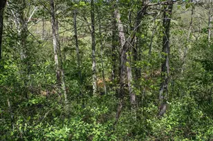 4177 Rolling Rd, Scottsville, VA 24590 - Photo 39