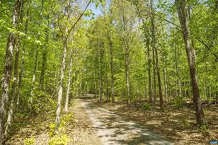 7530 Damon Rd, Schuyler, VA 22969 - Photo 57