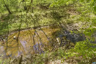 7530 Damon Rd, Schuyler, VA 22969 - Photo 63