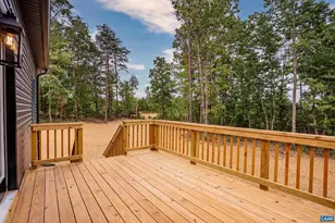 594 Community Rd, Dillwyn, VA 23936 - Photo 45