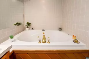 1717 High Ridge Condos, Wintergreen Resort, VA 22967 - Photo 23